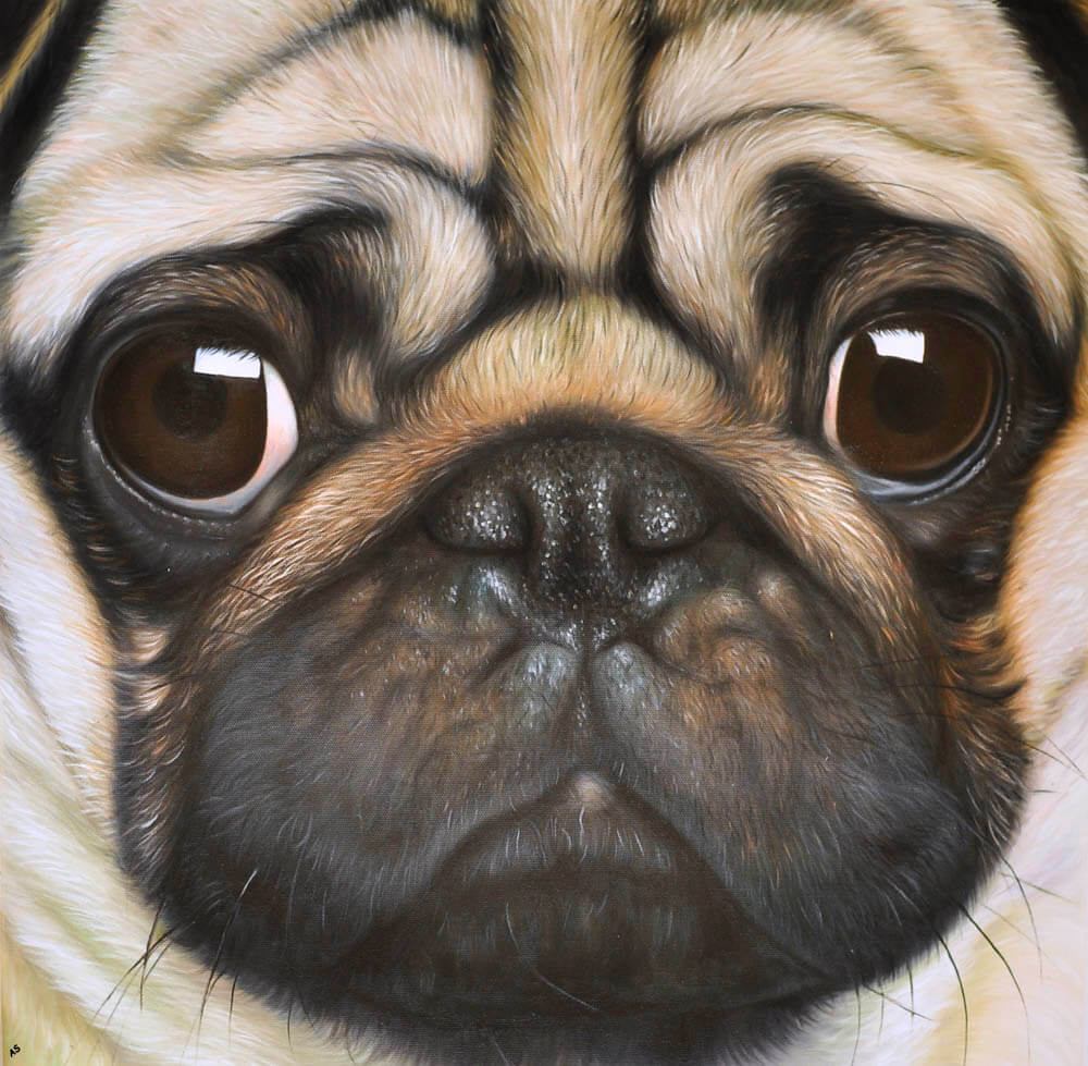 pug painting art