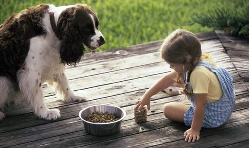 girl-feeding-dog on deck outside