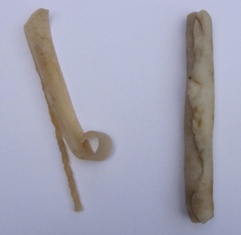The Rawhides After Testing