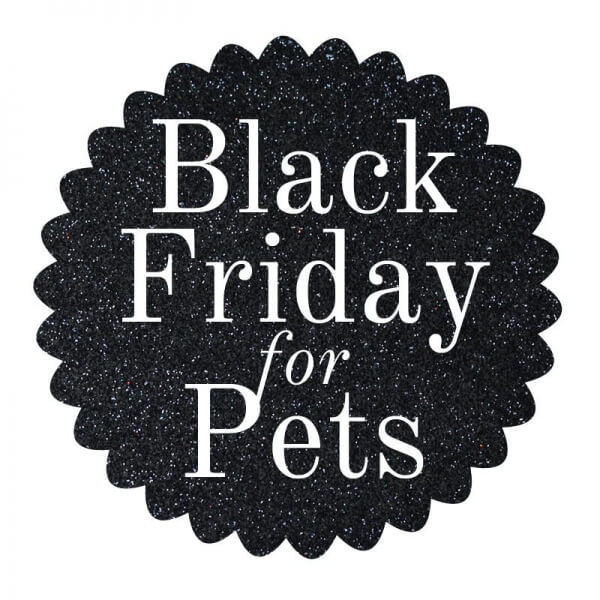 Black Friday WalMart Protest Toxic Chicken Dog Treats Made in China for Pets 
