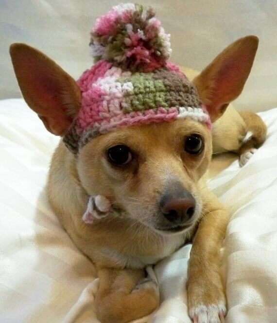Dog hat crocheted Pink camouflage Xsmall or Small