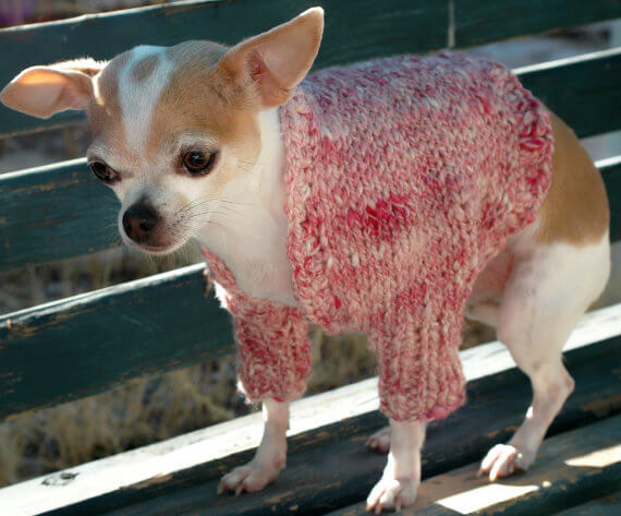Handknit dog shrug, dusty rose and white hand spun yarn of wool and silk