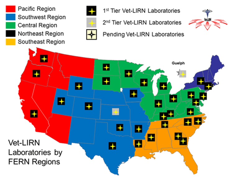 Vet-LIRN network