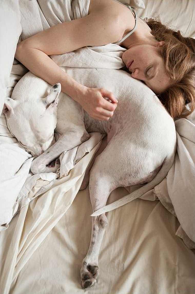 sleeping with your dog