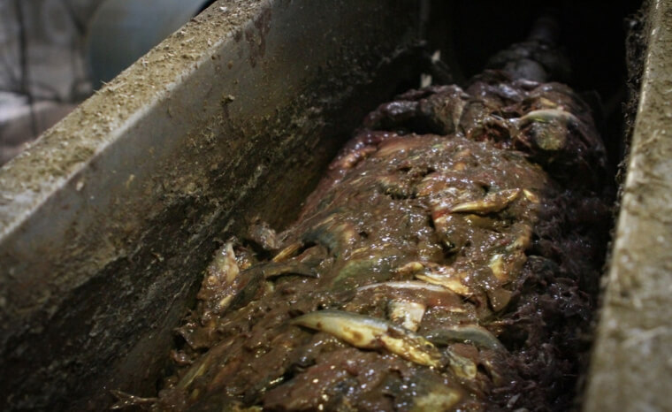 ThailandFishPaste_0
