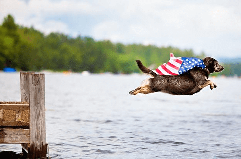 Flying-Dog Cape USA flag