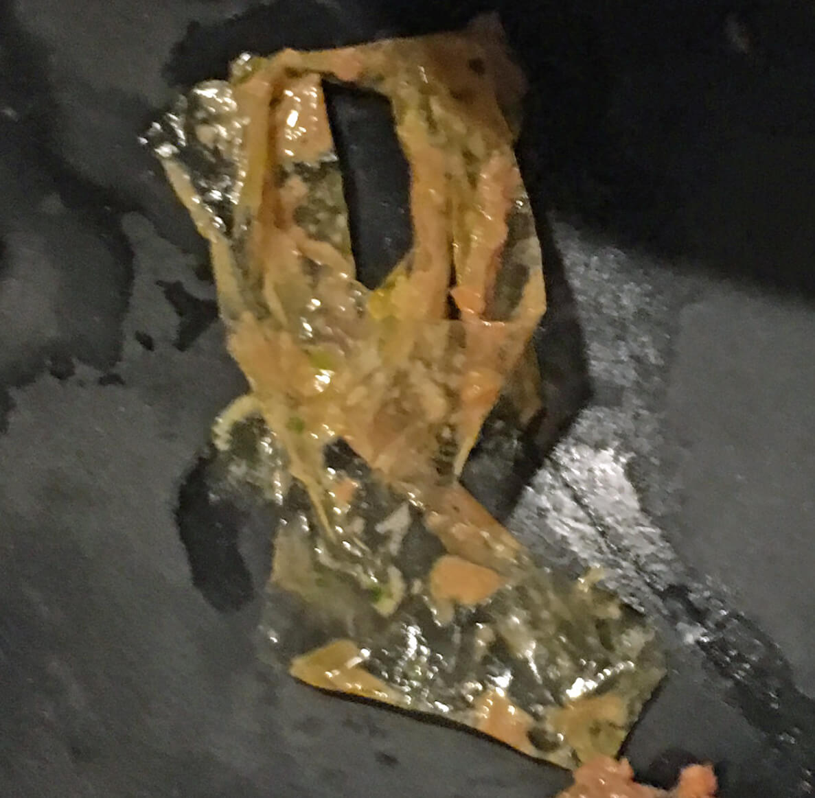 Plastic in Darwin's food