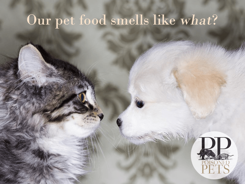 pet food