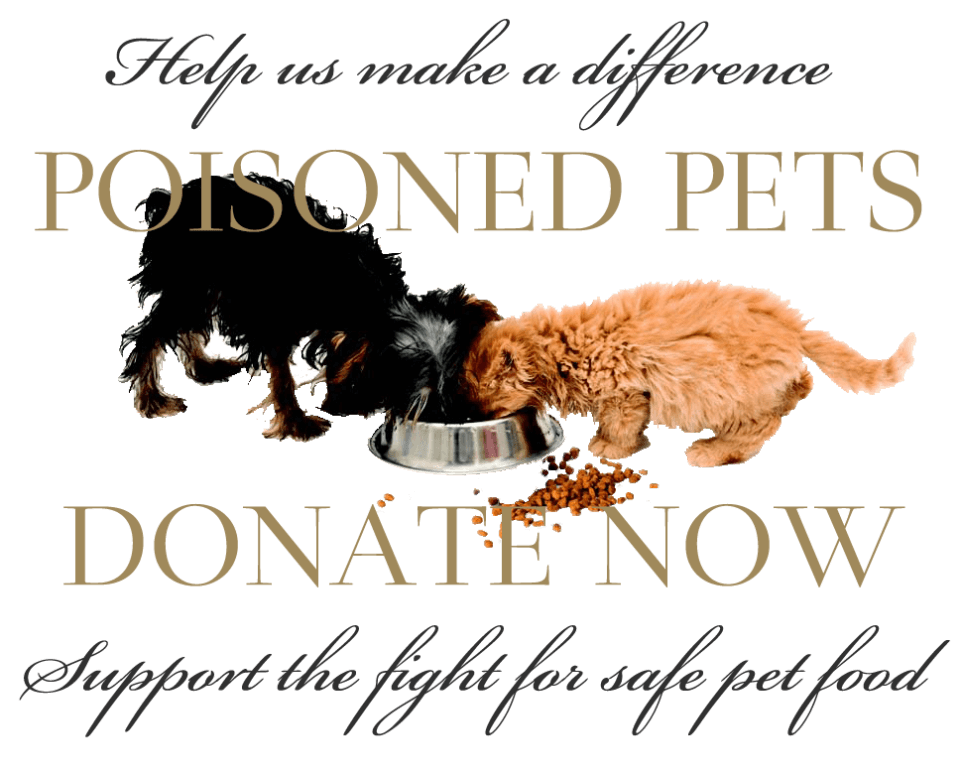 donate give support button