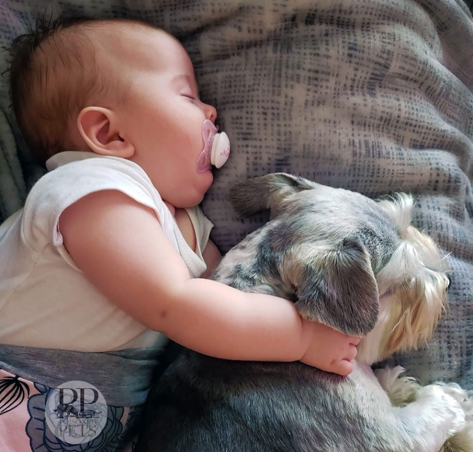 baby napping with dog