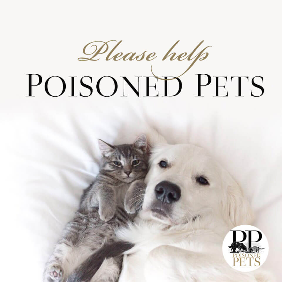 dog cat poisoned pets safe food warnings news recalls alerts