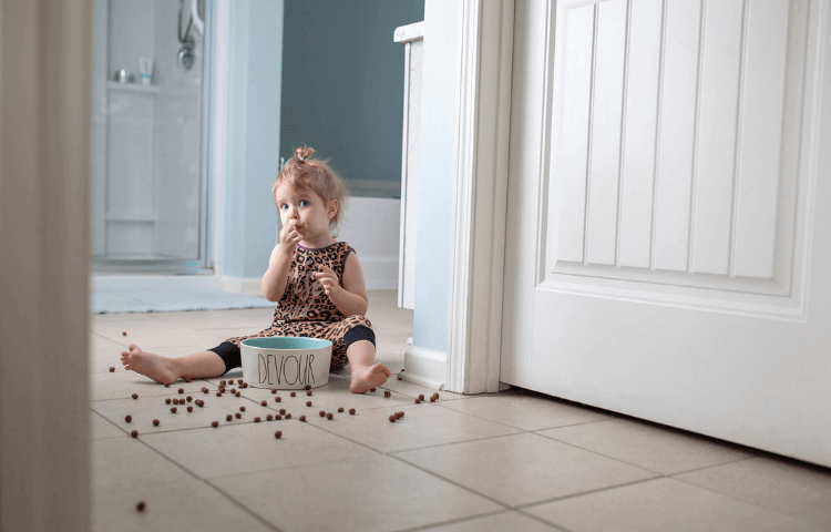 child eating dog food