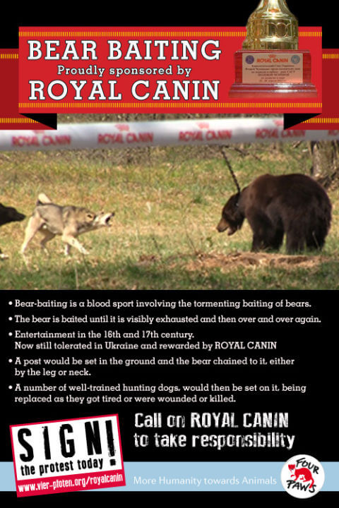 4PF_Royal_Canin_7-13_eng_RZ