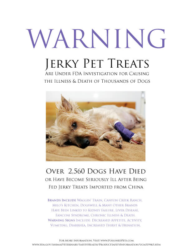 CJT warning flyer leaflet dog treat danger sick sad dog