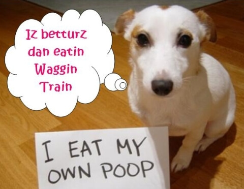 purina waggin train chicken jerky dog treats