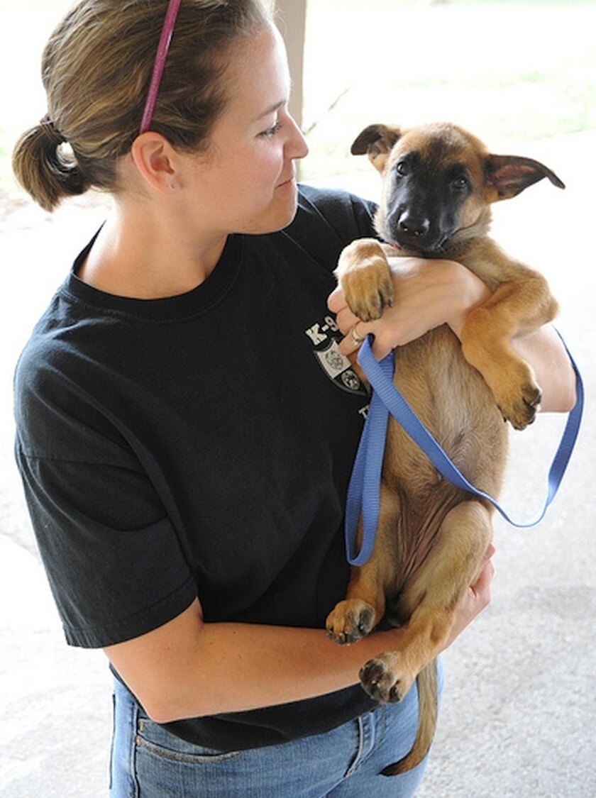 MWD puppy K9 team mom