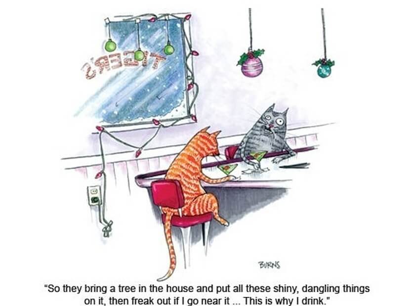 funny-pictures-kitteh-komic-ob-teh-day-christmas-spirits
