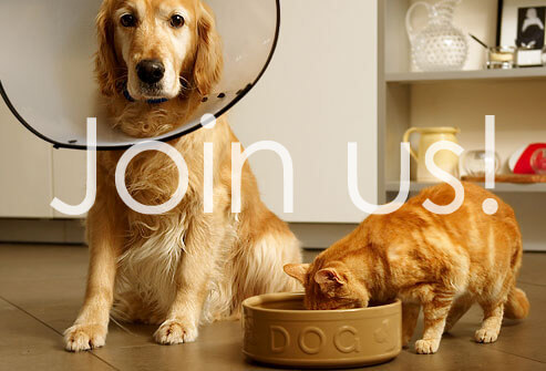 join-us