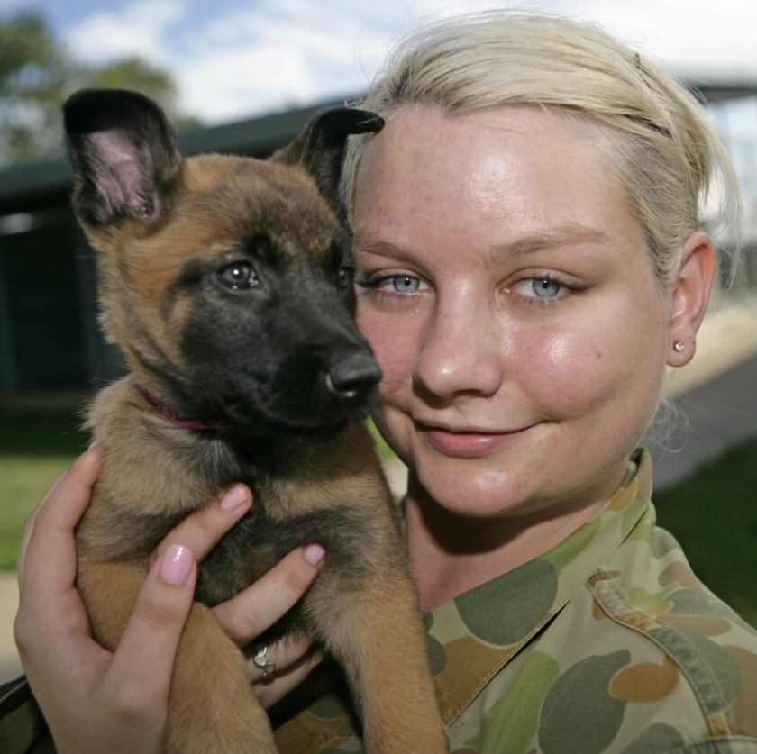 Naming of RAAF puppies