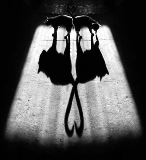 twin hearts